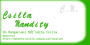 csilla mandity business card